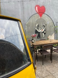 TheBackyard TheBackyard