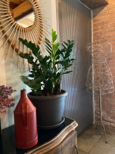 TheBackyard TheBackyard