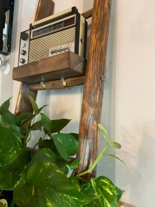 TheBackyard TheBackyard