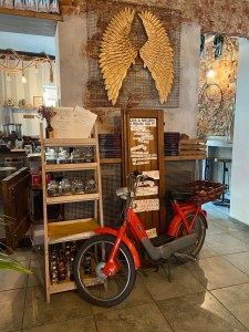 TheBackyard TheBackyard