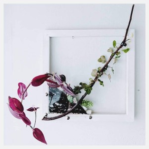 kokatelier Ziinca fenyceworkspace