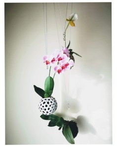 kokatelier Ziinca fenyceworkspace