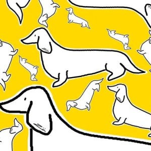 kokatelier Ziinca fenyceworkspace