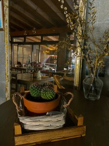 thebackyardlegnano aoukadesign