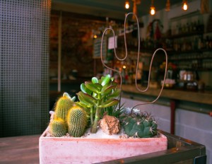 thebackyardlegnano aoukadesign