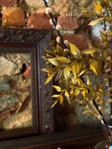 thebackyardlegnano aoukadesign