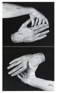 kettylarocca kettylarocca