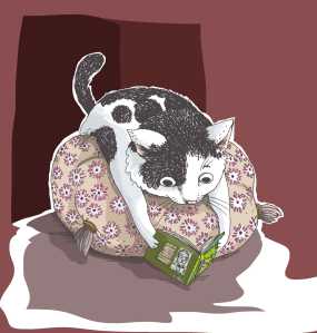 bicindolor bicindolor