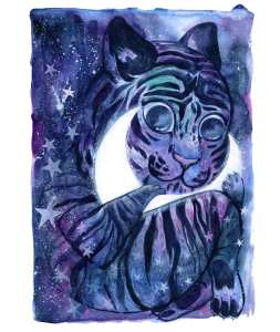 bicindolor bicindolor