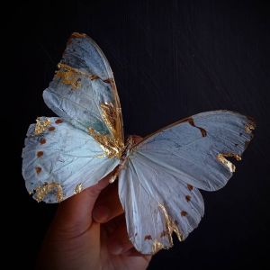 backdoorcollections backdoorcollections