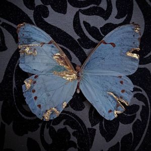 backdoorcollections backdoorcollections