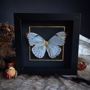 backdoorcollections backdoorcollections