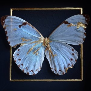 backdoorcollections backdoorcollections