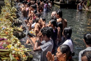 elenapozzi elenapozzi