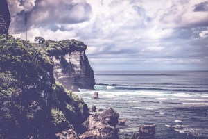 elenapozzi elenapozzi