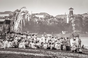 elenapozzi elenapozzi