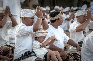 elenapozzi elenapozzi