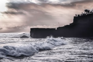 elenapozzi elenapozzi