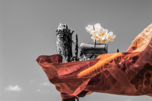 elenapozzi elenapozzi