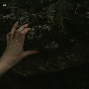 sofiafacchin sofiafacchin