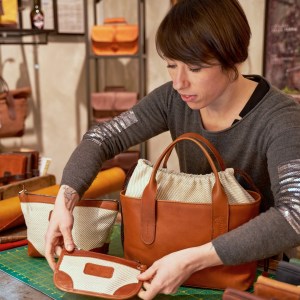 calliphora calliphora