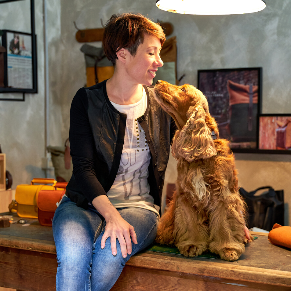 calliphora calliphora