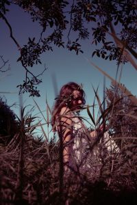 tendadiluce tendadiluce